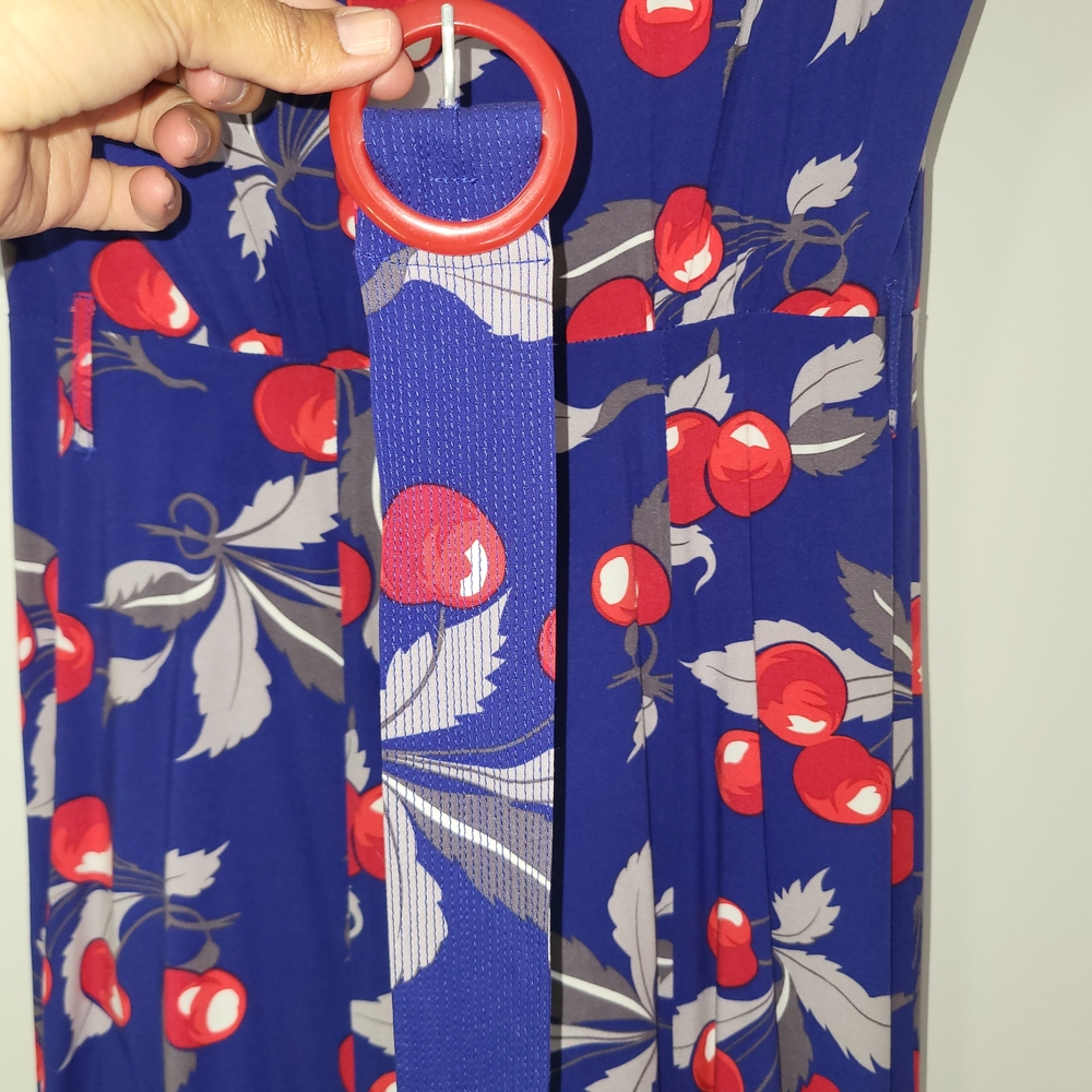 Trashy Diva Red and Blue Buttoned Midi Sundress - Picture 5 of 5